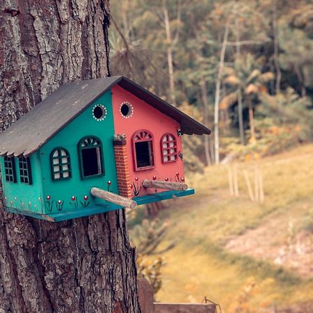Pousada Casarao Gastehaus Помероди Екстериор снимка